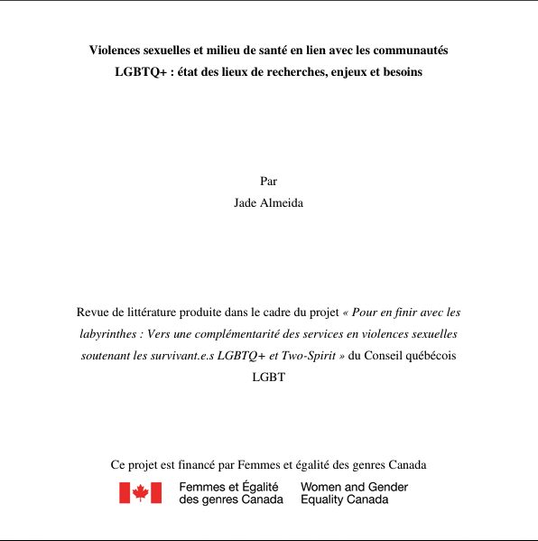 Violences sexuelles et milieu de santé en lien avec les communautés LGBTQ+ : état des lieux de recherches, enjeux et besoins